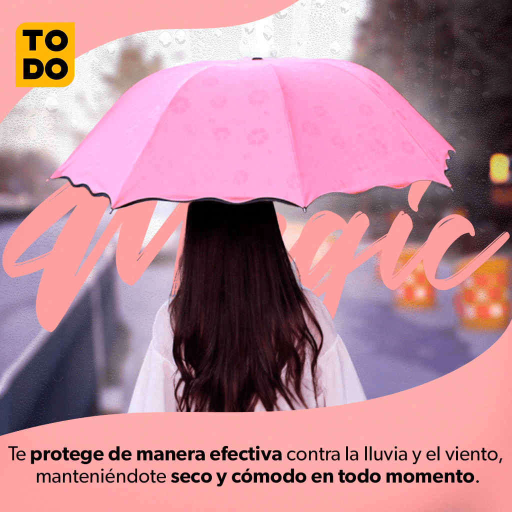 Producto en Tendencia!! Florece al contacto con el agua☔