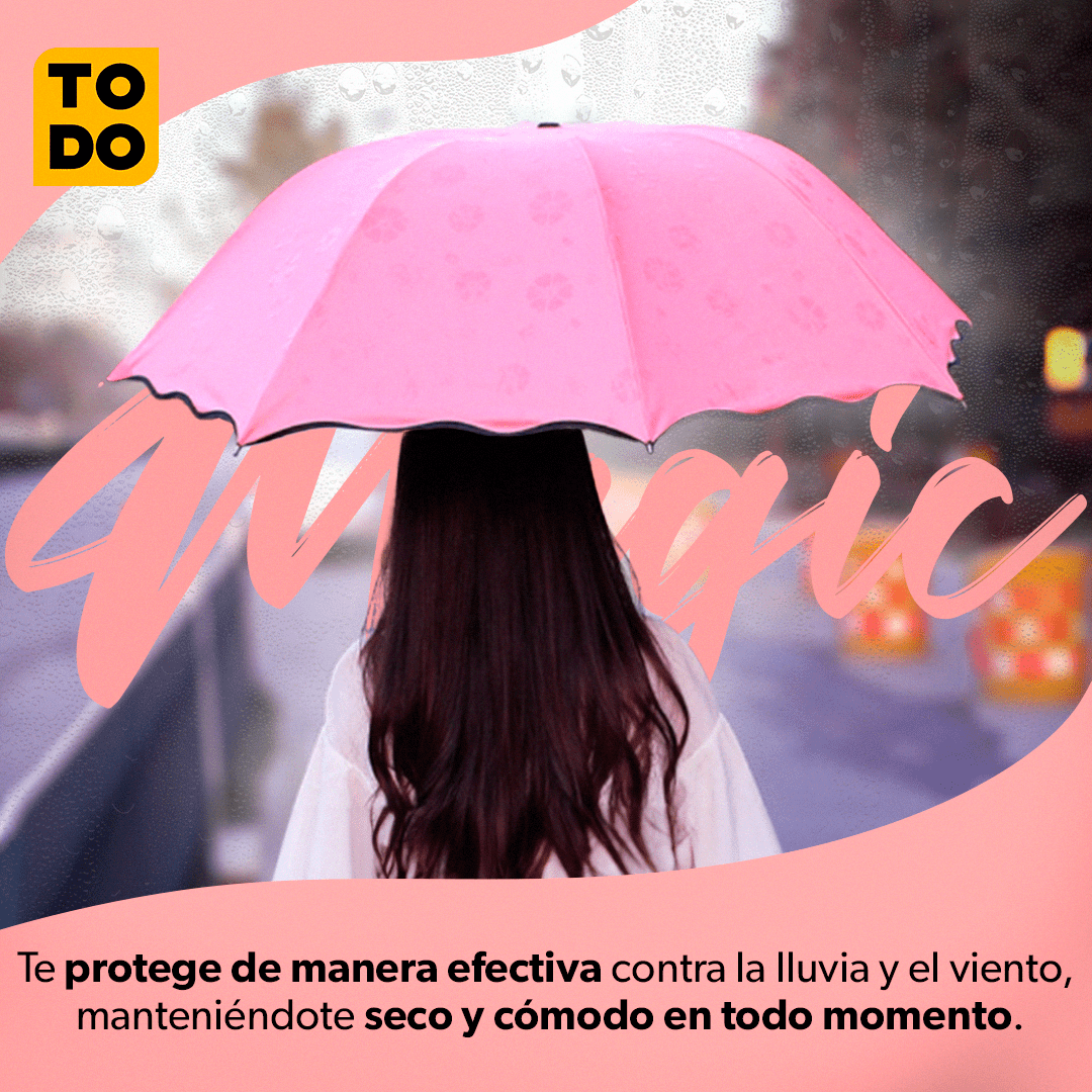 Producto en Tendencia!! Florece al contacto con el agua☔