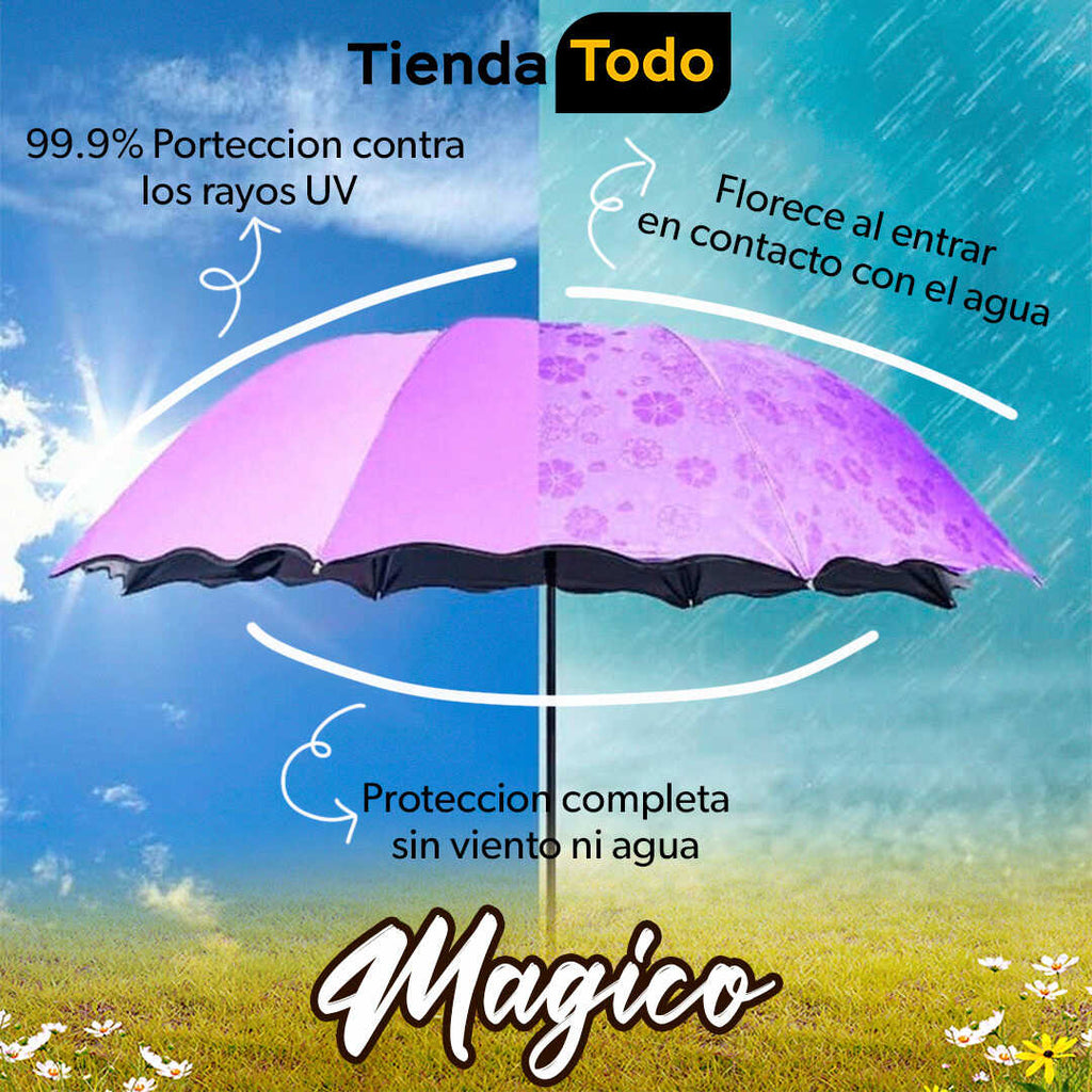 Producto en Tendencia!! Florece al contacto con el agua☔