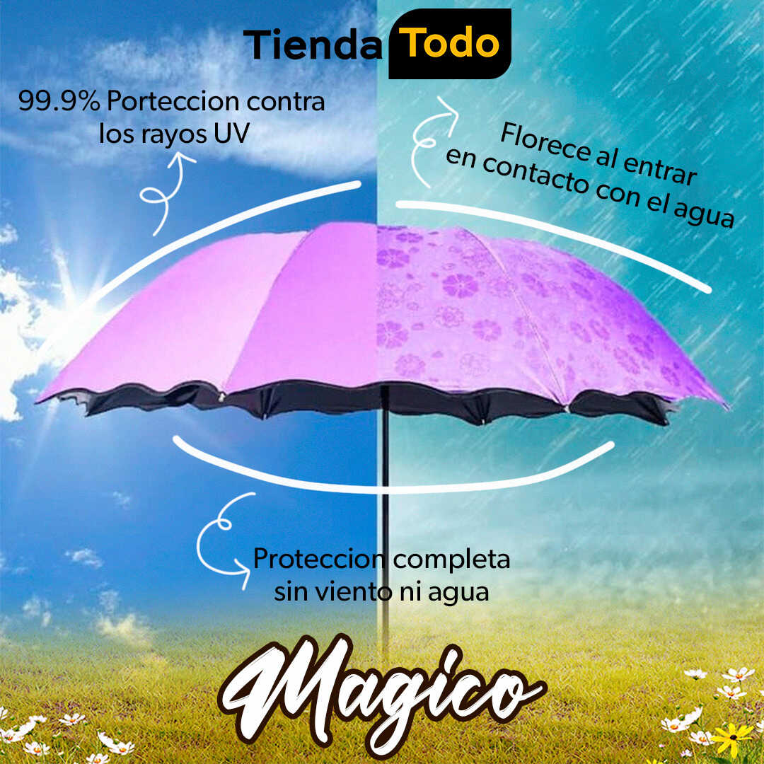 Producto en Tendencia!! Florece al contacto con el agua☔