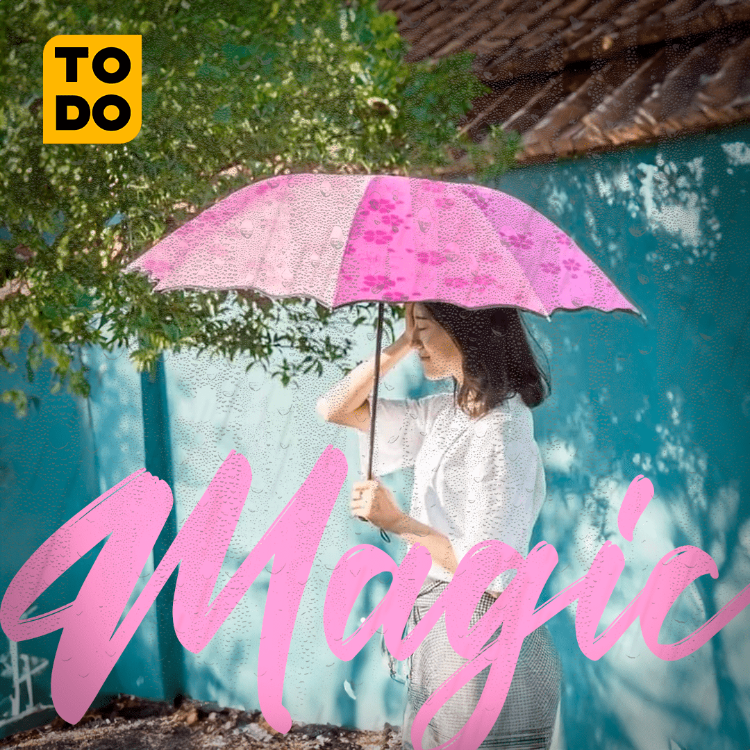 Producto en Tendencia!! Florece al contacto con el agua☔