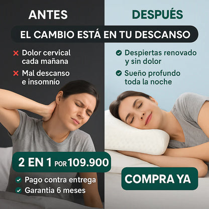 Almohada Aloe Ortopedica Memory Pillow